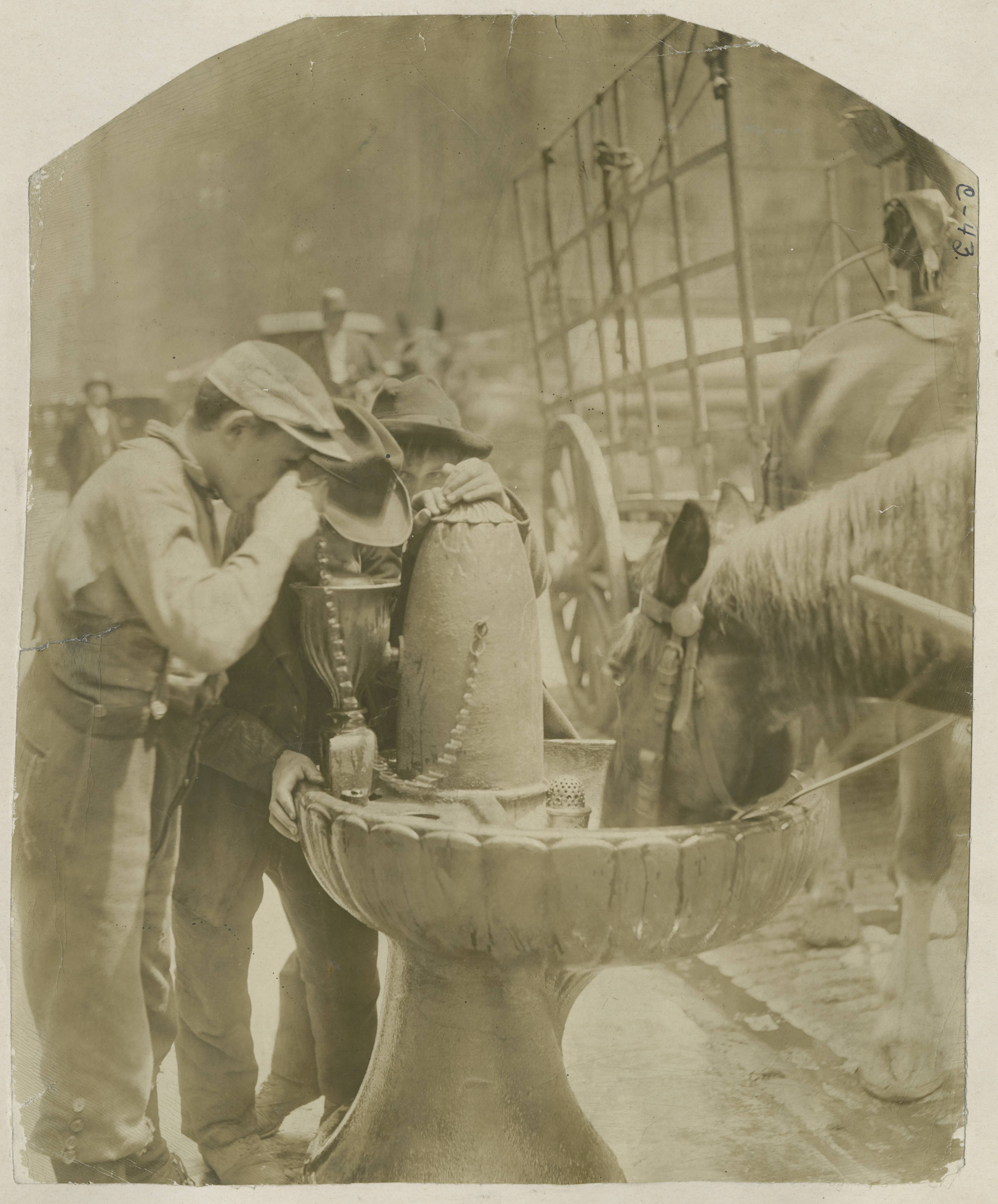 horse_old